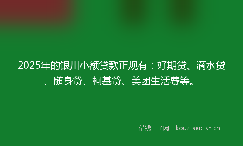 2025年的银川小额贷款正规有：好期贷、滴水贷、随身贷、柯基贷、美团生活费等。