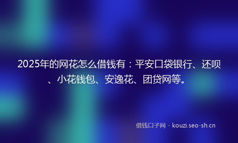 2025年的网花怎么借钱有：平安口袋银行、还呗、小花钱包、安逸花、团贷网等。