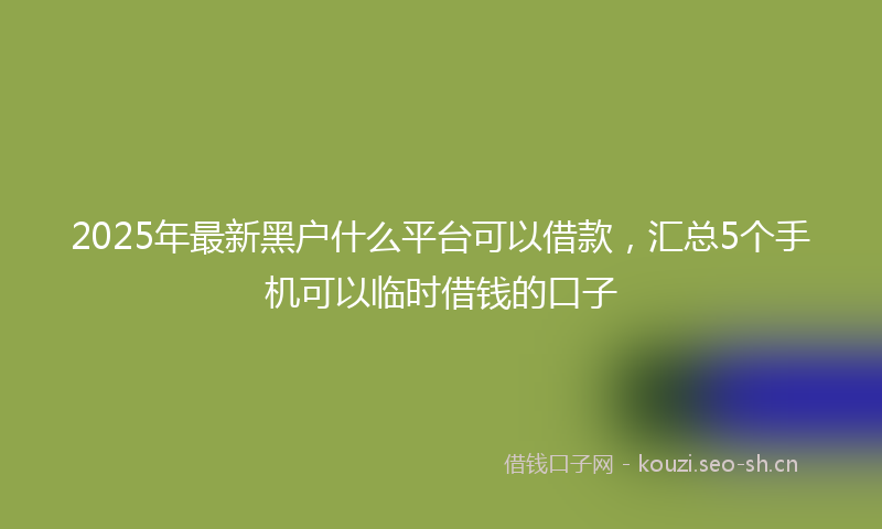 2025年最新黑户什么平台可以借款，汇总5个手机可以临时借钱的口子