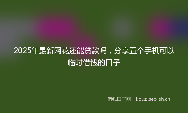 2025年最新网花还能贷款吗，分享五个手机可以临时借钱的口子