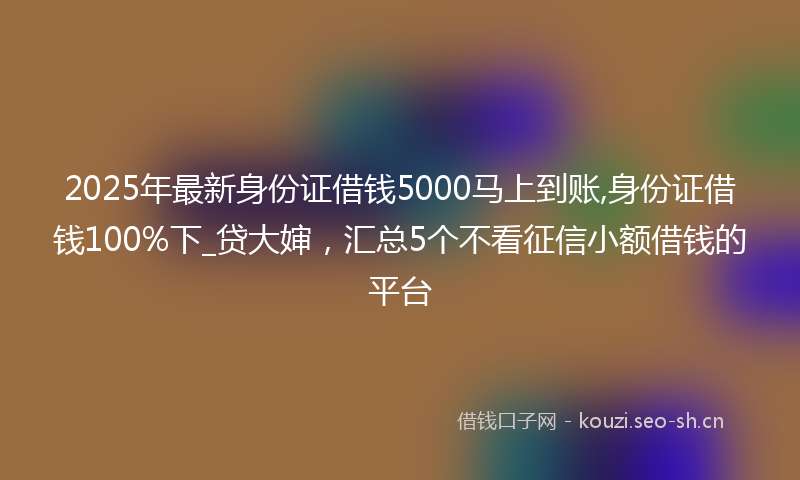 2025年最新身份证借钱5000马上到账,身份证借钱100%下_贷大婶，汇总5个不看征信小额借钱的平台