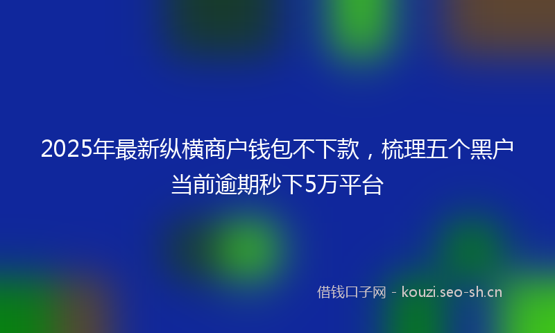 2025年最新纵横商户钱包不下款，梳理五个黑户当前逾期秒下5万平台