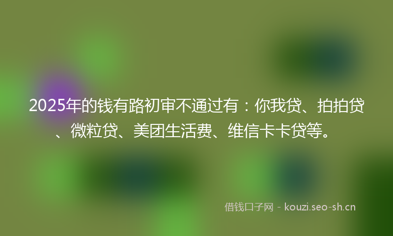 2025年的钱有路初审不通过有：你我贷、拍拍贷、微粒贷、美团生活费、维信卡卡贷等。