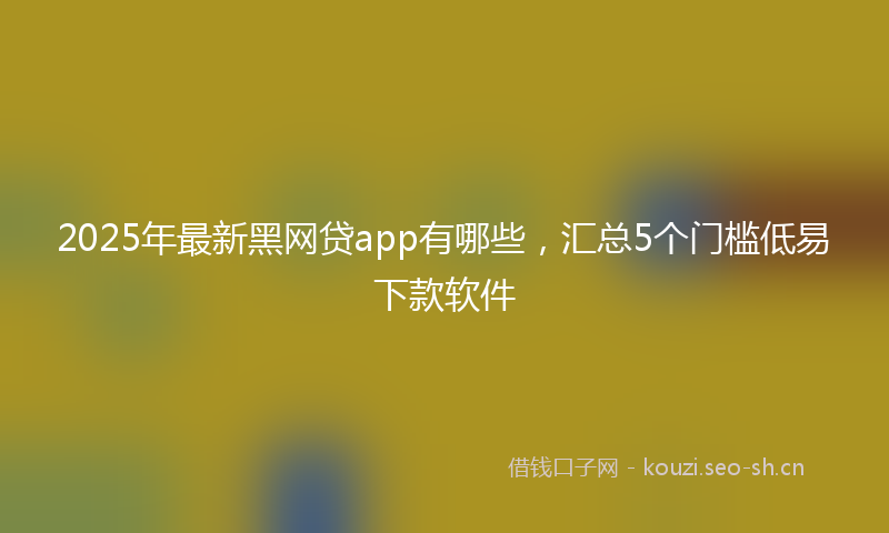 2025年最新黑网贷app有哪些，汇总5个门槛低易下款软件