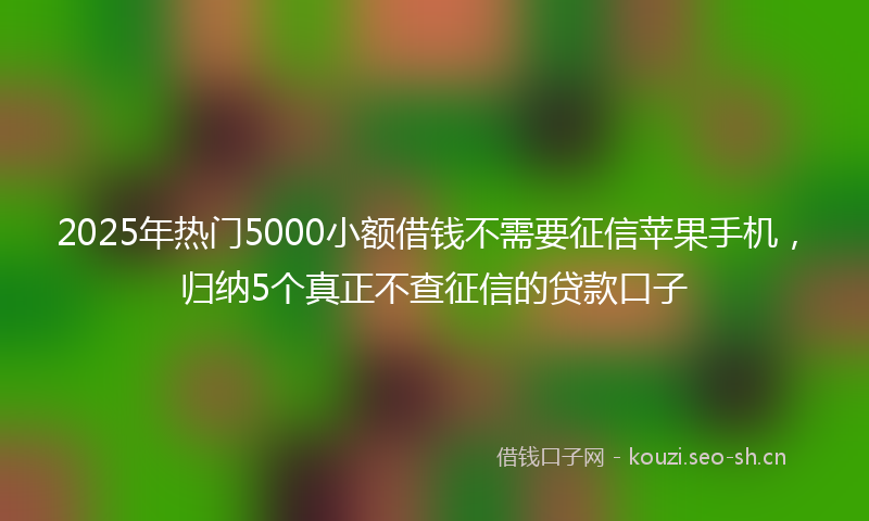 2025年热门5000小额借钱不需要征信苹果手机，归纳5个真正不查征信的贷款口子
