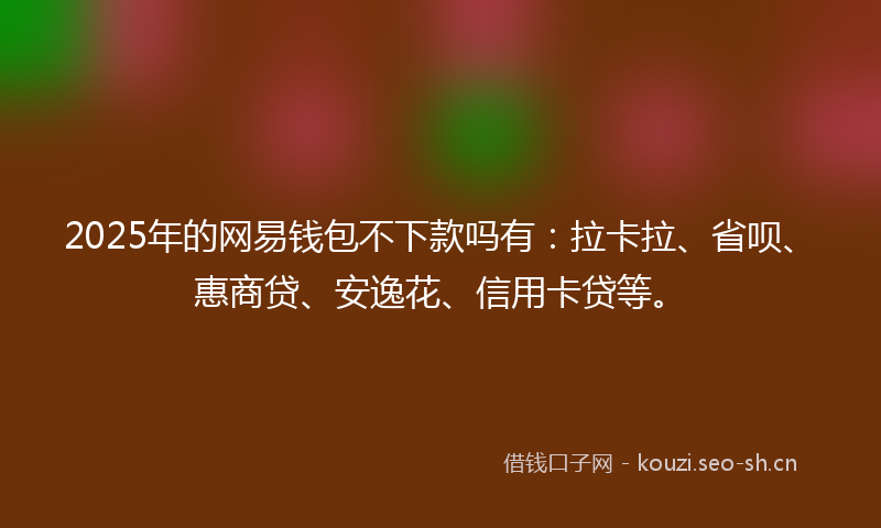 2025年的网易钱包不下款吗有：拉卡拉、省呗、惠商贷、安逸花、信用卡贷等。