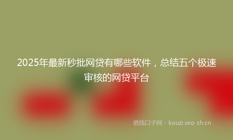 2025年最新秒批网贷有哪些软件，总结五个极速审核的网贷平台