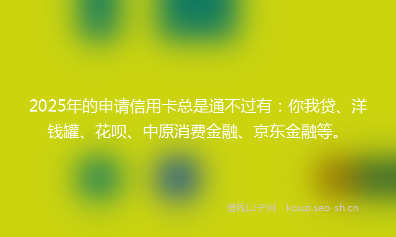 2025年的申请信用卡总是通不过有：你我贷、洋钱罐、花呗、中原消费金融、京东金融等。