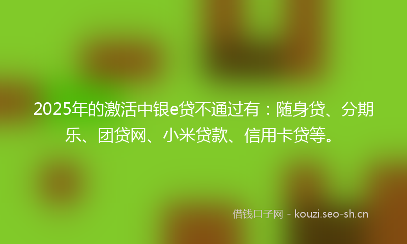 2025年的激活中银e贷不通过有：随身贷、分期乐、团贷网、小米贷款、信用卡贷等。