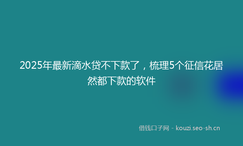 2025年最新滴水贷不下款了，梳理5个征信花居然都下款的软件