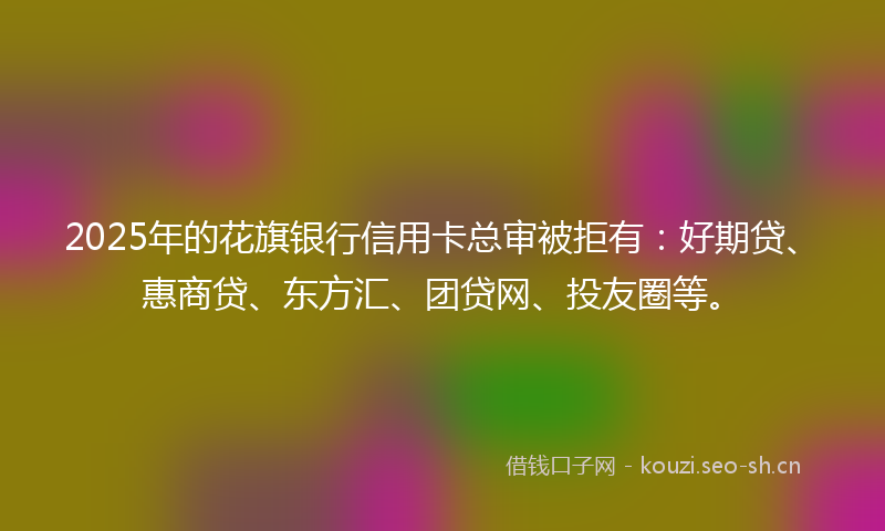 2025年的花旗银行信用卡总审被拒有：好期贷、惠商贷、东方汇、团贷网、投友圈等。