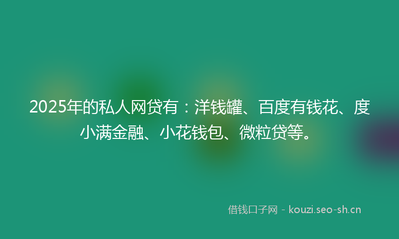2025年的私人网贷有：洋钱罐、百度有钱花、度小满金融、小花钱包、微粒贷等。