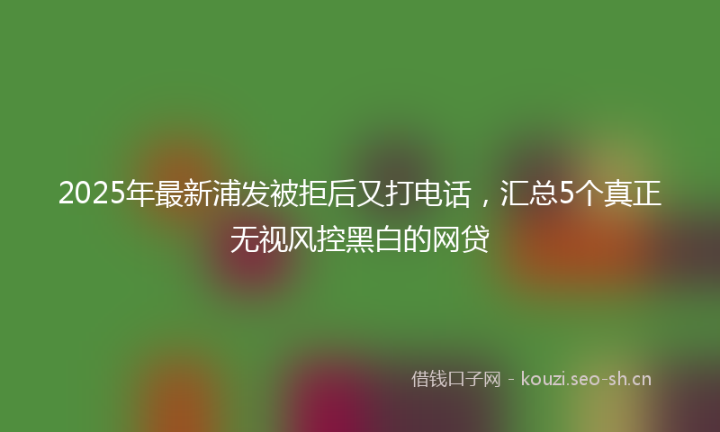 2025年最新浦发被拒后又打电话，汇总5个真正无视风控黑白的网贷