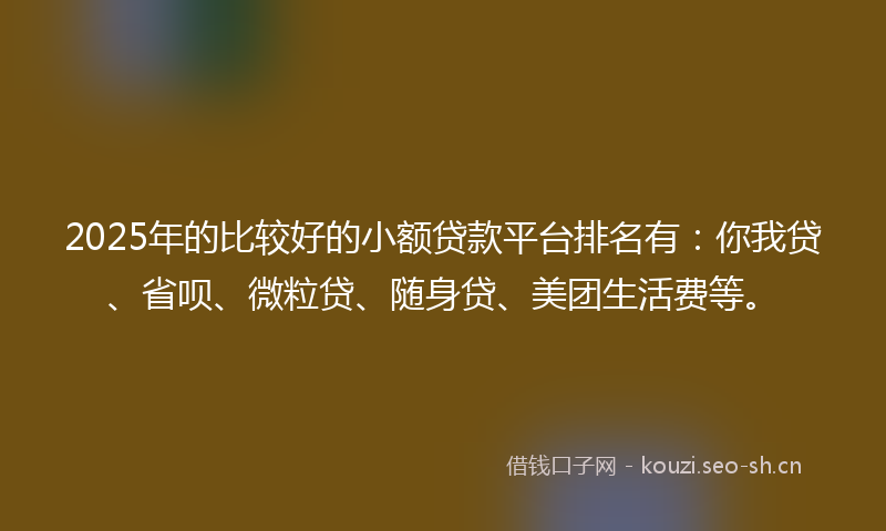 2025年的比较好的小额贷款平台排名有：你我贷、省呗、微粒贷、随身贷、美团生活费等。