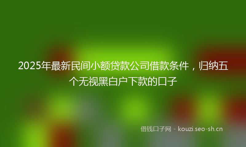 2025年最新民间小额贷款公司借款条件，归纳五个无视黑白户下款的口子