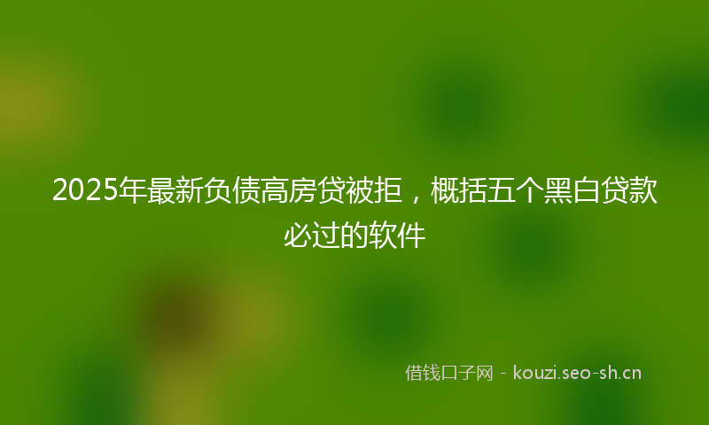 2025年最新负债高房贷被拒，概括五个黑白贷款必过的软件