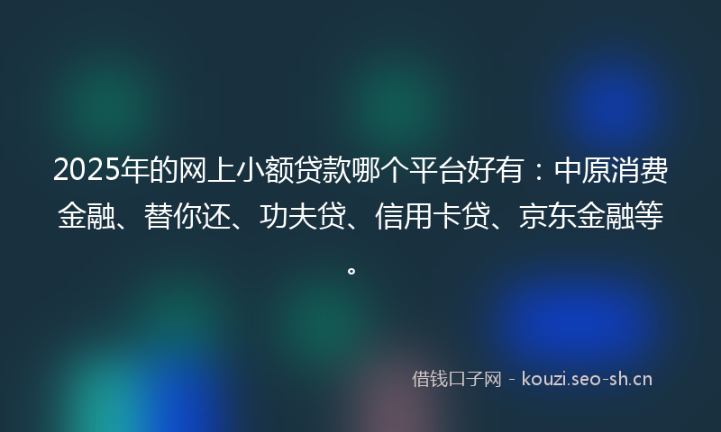 2025年的网上小额贷款哪个平台好有：中原消费金融、替你还、功夫贷、信用卡贷、京东金融等。