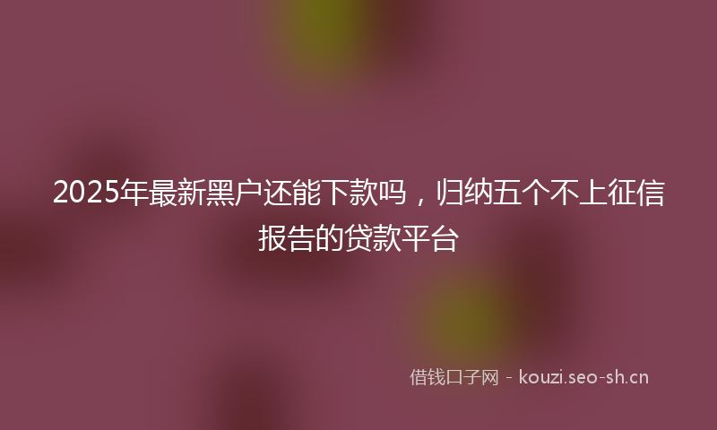 2025年最新黑户还能下款吗，归纳五个不上征信报告的贷款平台