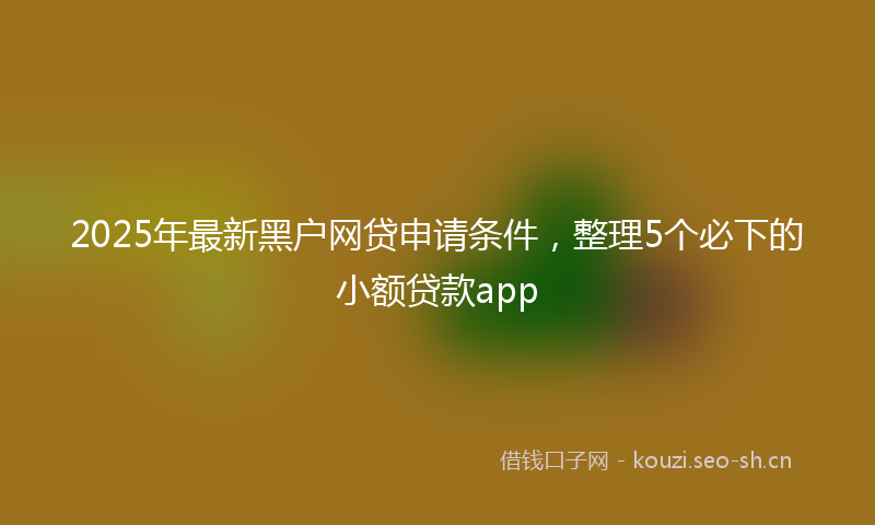 2025年最新黑户网贷申请条件，整理5个必下的小额贷款app