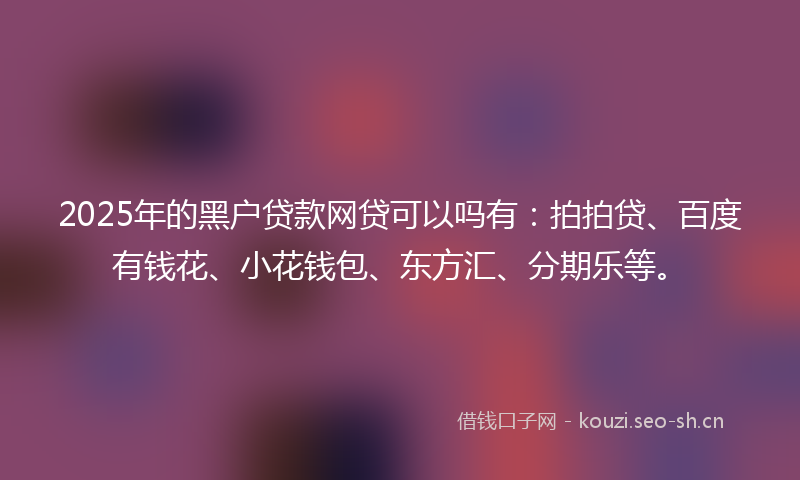 2025年的黑户贷款网贷可以吗有：拍拍贷、百度有钱花、小花钱包、东方汇、分期乐等。