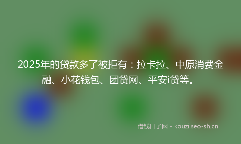 2025年的贷款多了被拒有：拉卡拉、中原消费金融、小花钱包、团贷网、平安i贷等。