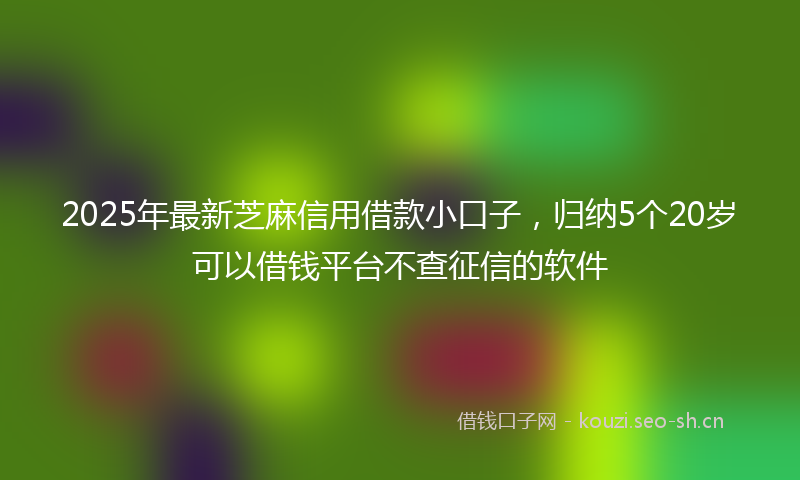 2025年最新芝麻信用借款小口子，归纳5个20岁可以借钱平台不查征信的软件