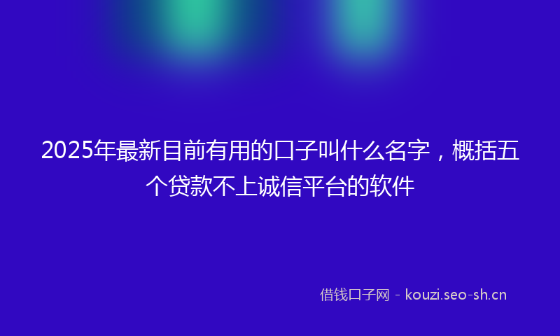2025年最新目前有用的口子叫什么名字，概括五个贷款不上诚信平台的软件