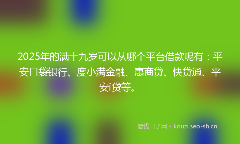 2025年的满十九岁可以从哪个平台借款呢有：平安口袋银行、度小满金融、惠商贷、快贷通、平安i贷等。