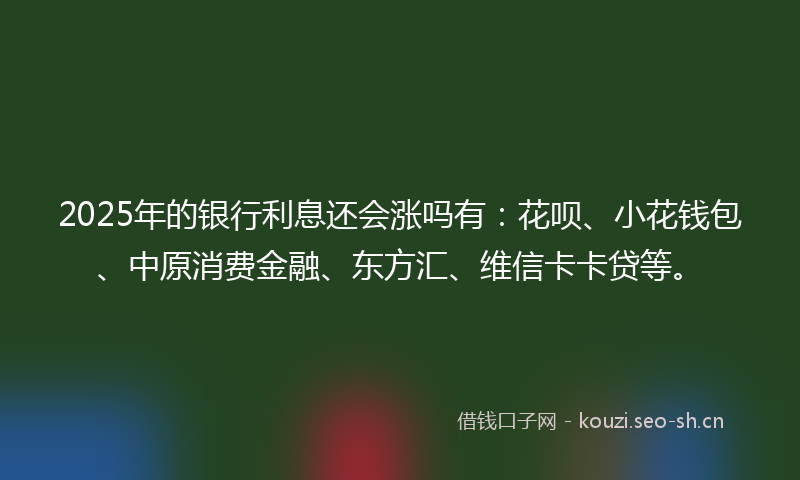 2025年的银行利息还会涨吗有：花呗、小花钱包、中原消费金融、东方汇、维信卡卡贷等。