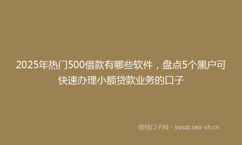 2025年热门500借款有哪些软件，盘点5个黑户可快速办理小额贷款业务的口子