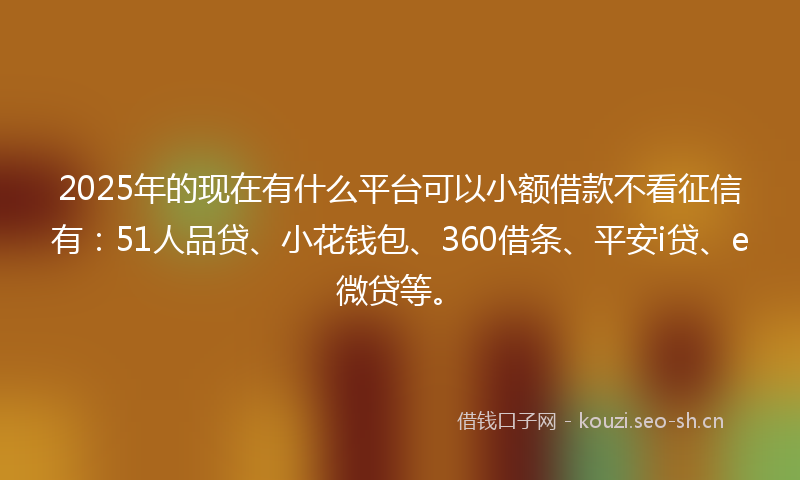 2025年的现在有什么平台可以小额借款不看征信有：51人品贷、小花钱包、360借条、平安i贷、e微贷等。