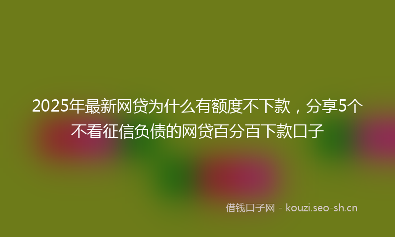 2025年最新网贷为什么有额度不下款，分享5个不看征信负债的网贷百分百下款口子