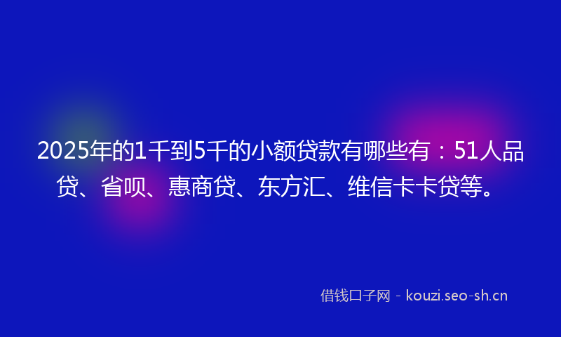 2025年的1千到5千的小额贷款有哪些有：51人品贷、省呗、惠商贷、东方汇、维信卡卡贷等。