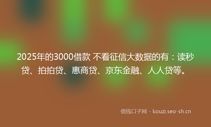 2025年的3000借款 不看征信大数据的有：读秒贷、拍拍贷、惠商贷、京东金融、人人贷等。