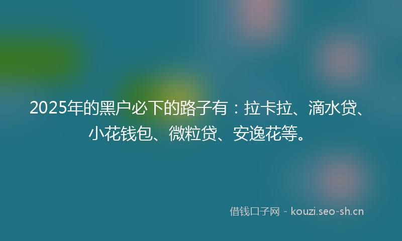 2025年的黑户必下的路子有：拉卡拉、滴水贷、小花钱包、微粒贷、安逸花等。