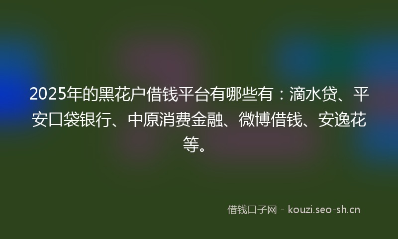 2025年的黑花户借钱平台有哪些有：滴水贷、平安口袋银行、中原消费金融、微博借钱、安逸花等。
