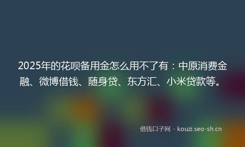2025年的花呗备用金怎么用不了有：中原消费金融、微博借钱、随身贷、东方汇、小米贷款等。