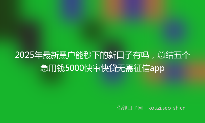 2025年最新黑户能秒下的新口子有吗，总结五个急用钱5000快审快贷无需征信app
