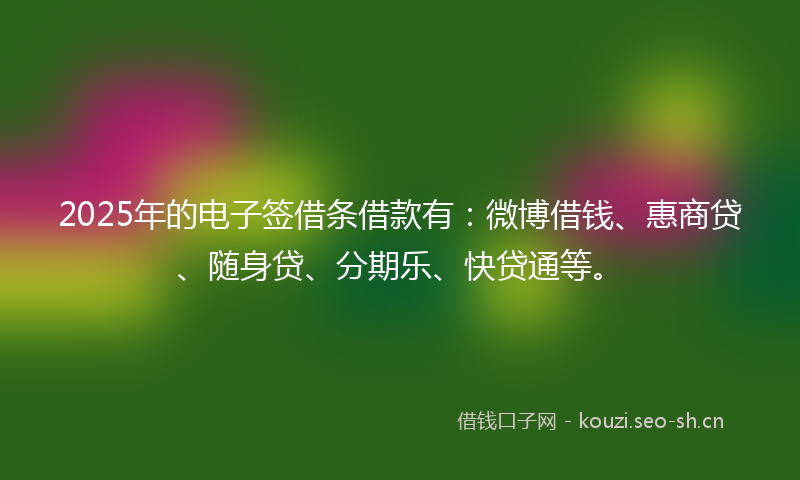 2025年的电子签借条借款有：微博借钱、惠商贷、随身贷、分期乐、快贷通等。