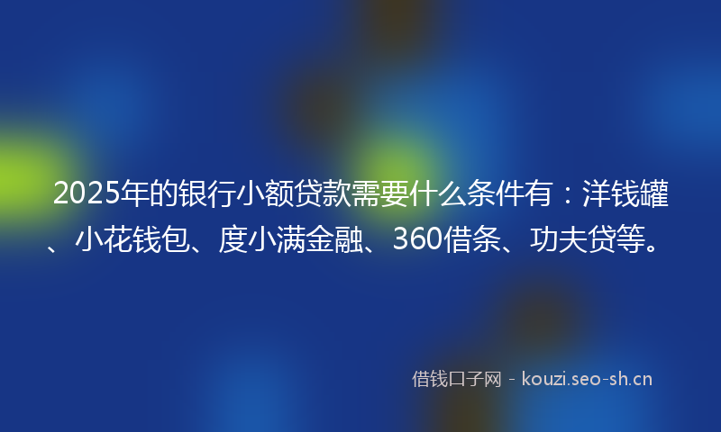 2025年的银行小额贷款需要什么条件有：洋钱罐、小花钱包、度小满金融、360借条、功夫贷等。