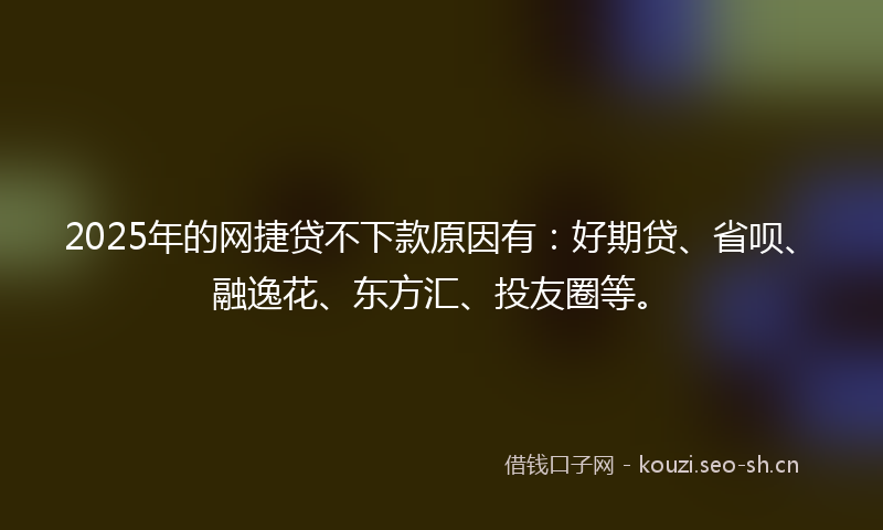 2025年的网捷贷不下款原因有：好期贷、省呗、融逸花、东方汇、投友圈等。