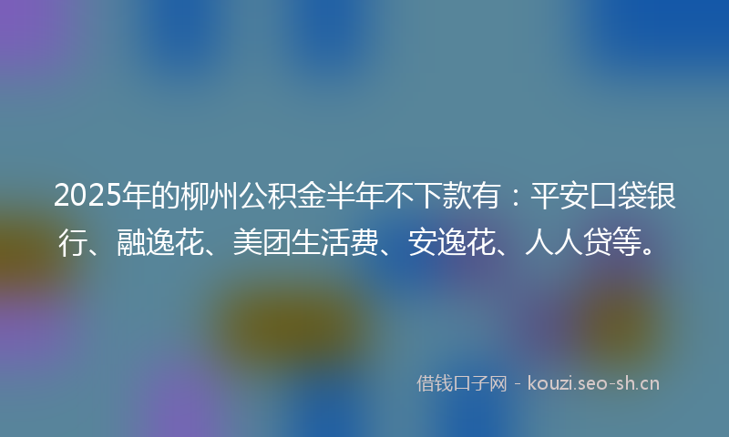 2025年的柳州公积金半年不下款有：平安口袋银行、融逸花、美团生活费、安逸花、人人贷等。