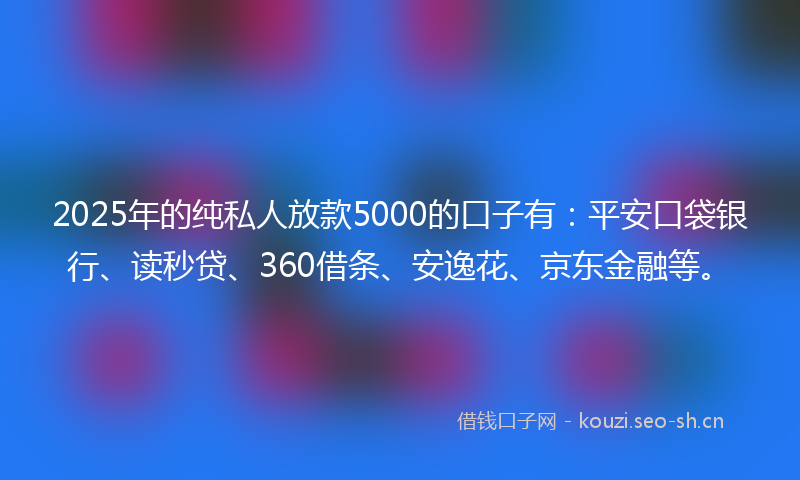 2025年的纯私人放款5000的口子有：平安口袋银行、读秒贷、360借条、安逸花、京东金融等。