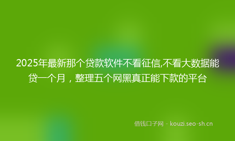 2025年最新那个贷款软件不看征信,不看大数据能贷一个月，整理五个网黑真正能下款的平台