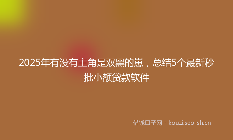 2025年有没有主角是双黑的崽，总结5个最新秒批小额贷款软件