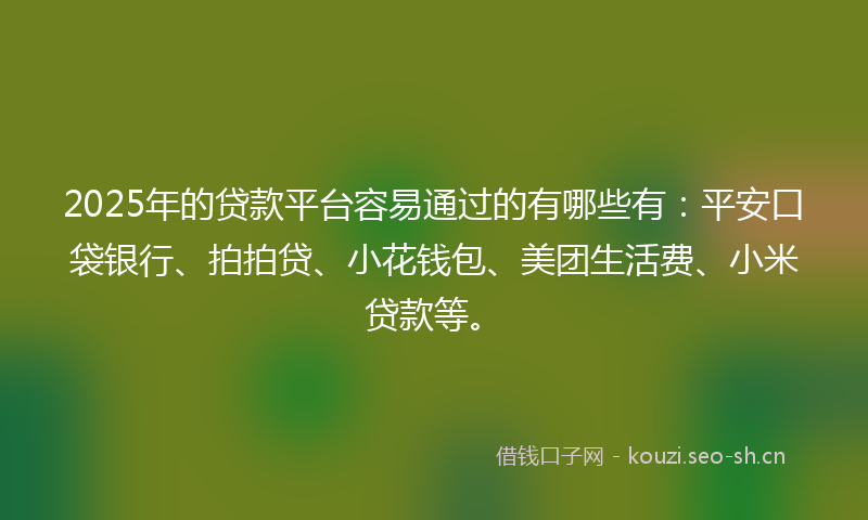 2025年的贷款平台容易通过的有哪些有：平安口袋银行、拍拍贷、小花钱包、美团生活费、小米贷款等。