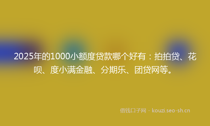 2025年的1000小额度贷款哪个好有：拍拍贷、花呗、度小满金融、分期乐、团贷网等。