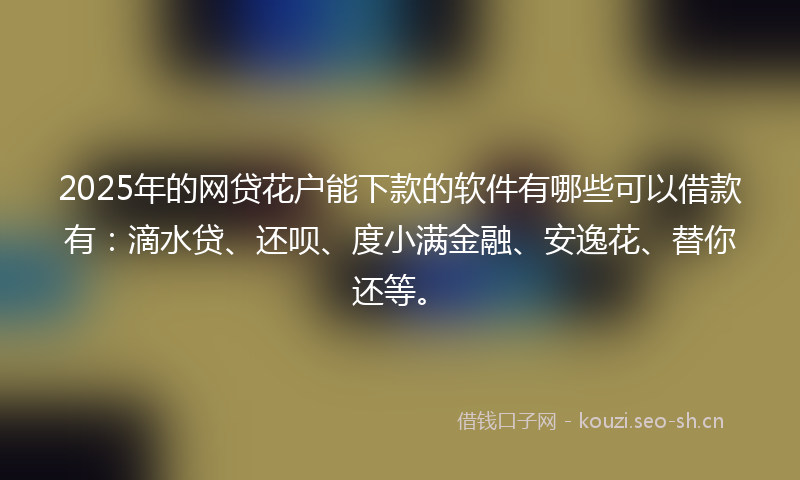 2025年的网贷花户能下款的软件有哪些可以借款有：滴水贷、还呗、度小满金融、安逸花、替你还等。