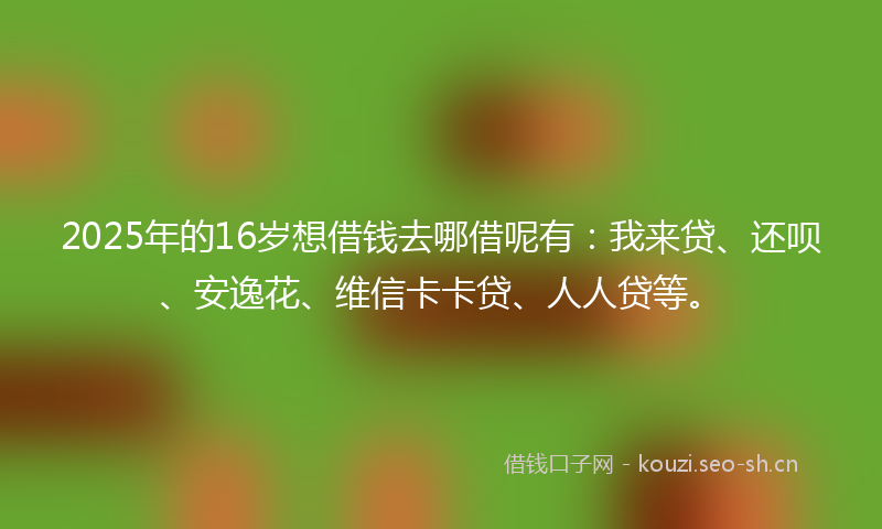 2025年的16岁想借钱去哪借呢有：我来贷、还呗、安逸花、维信卡卡贷、人人贷等。