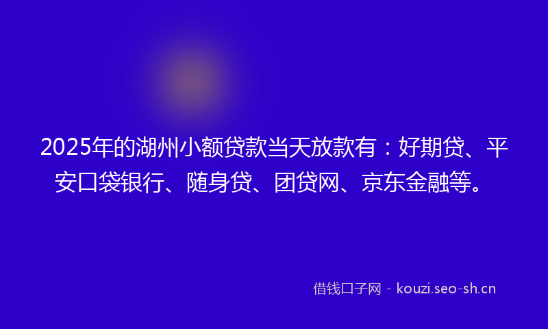 2025年的湖州小额贷款当天放款有：好期贷、平安口袋银行、随身贷、团贷网、京东金融等。